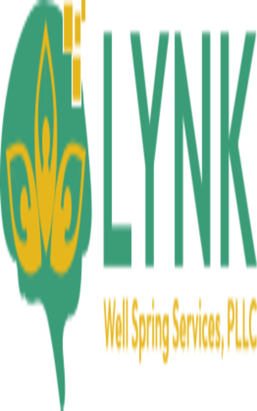 Lynk Well Spring  