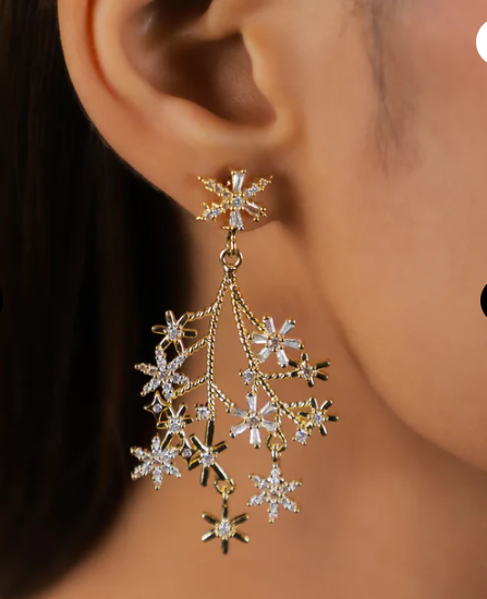 Women  Earrings