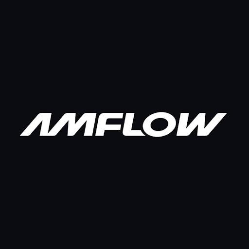 Amflow  Bikes ES