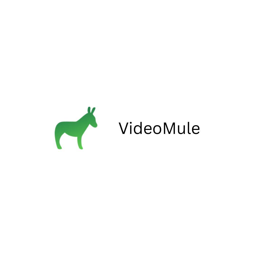 videomule
