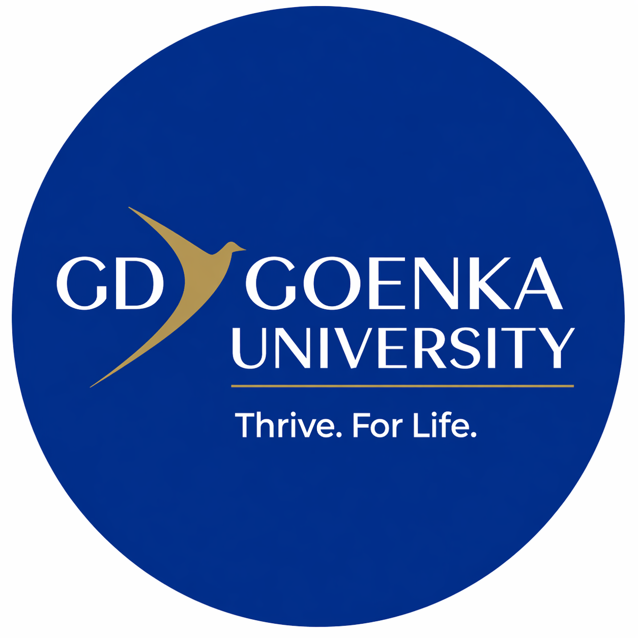 GD Goenka University