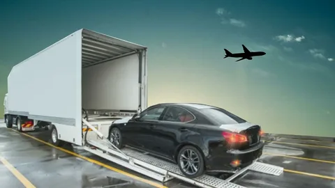 shipcarsltd9