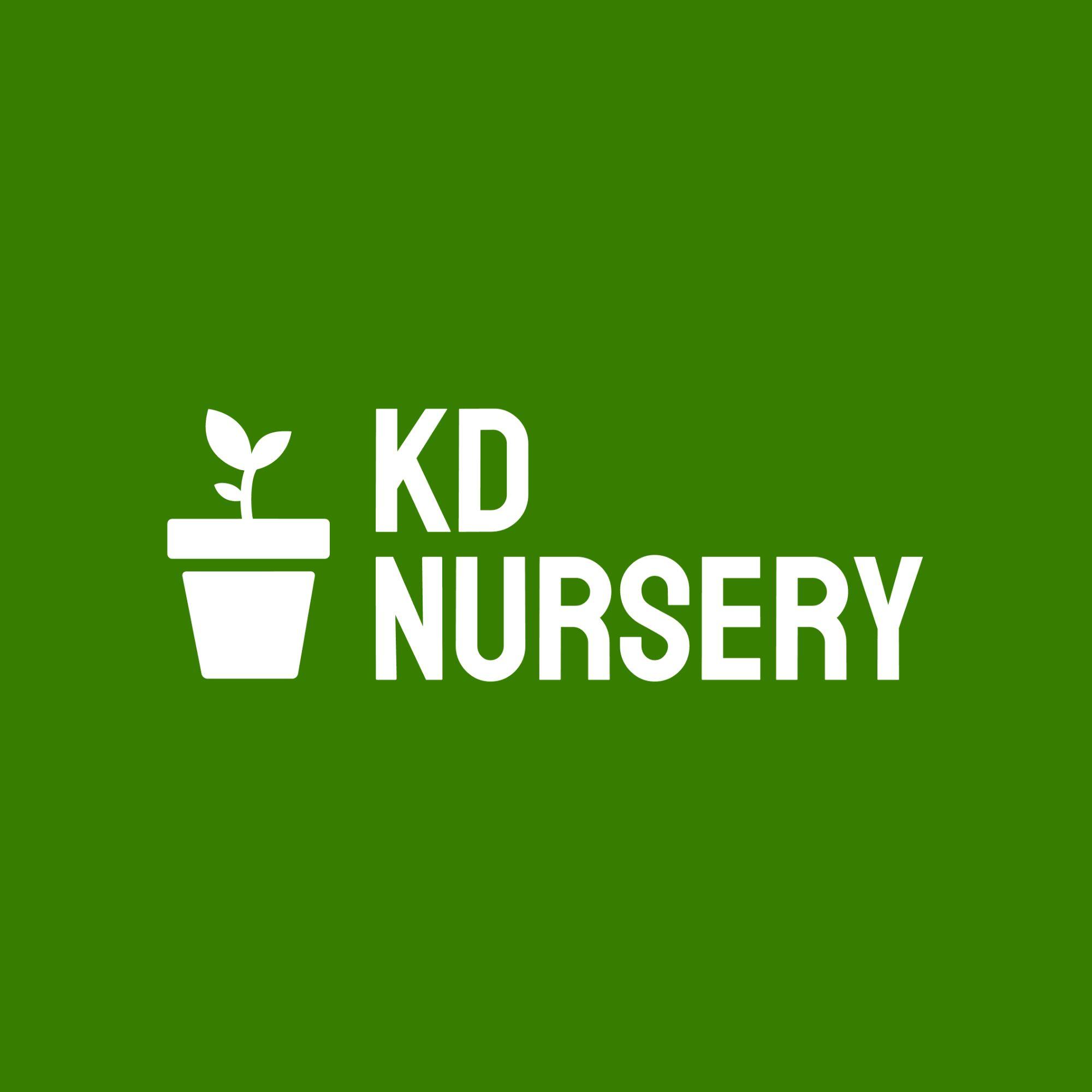 KDNursery Clarence